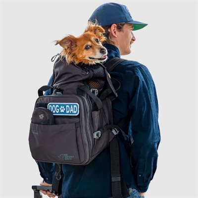 K9 Sportsack Skypack Ryggsäck och Transportväska 2-i-1 Svart